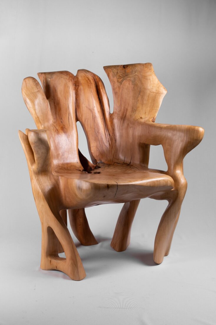 Veles, Chainsaw-Carved Sculptural Chair – Flowing Form in Solid Wood, main view