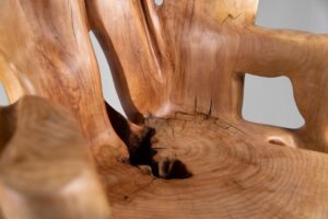 Veles, Chainsaw-Carved Sculptural Chair – Flowing Form in Solid Wood, gallery view 15