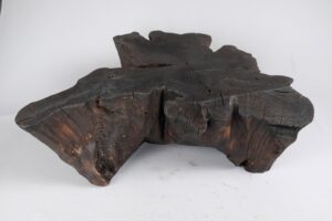 Jownik, Charred Rootform Coffee Table, main view