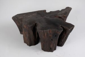 Jownik, Charred Rootform Coffee Table, gallery view 7